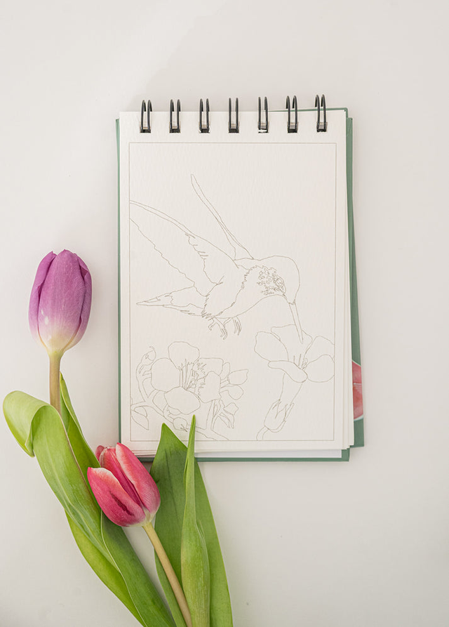 Art Kits + Supplies | Tiny Turns Paperie